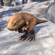 guar.jpg