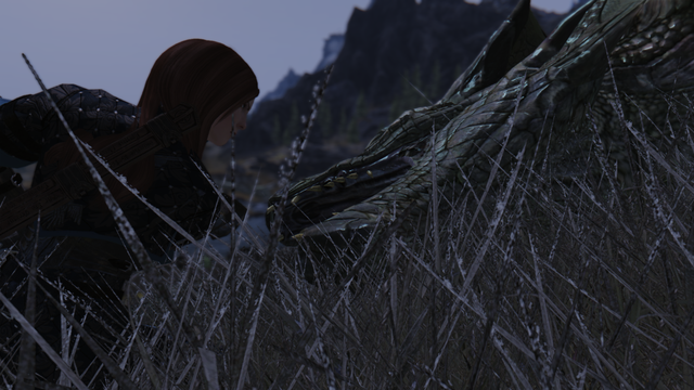 Skyrim-06-01-2021-23-20-31.png.png