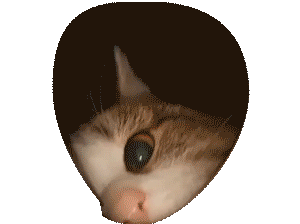 tumblr_1e1e8de7b34be50b3303868ae9e7806f_46bccc36_400.gif