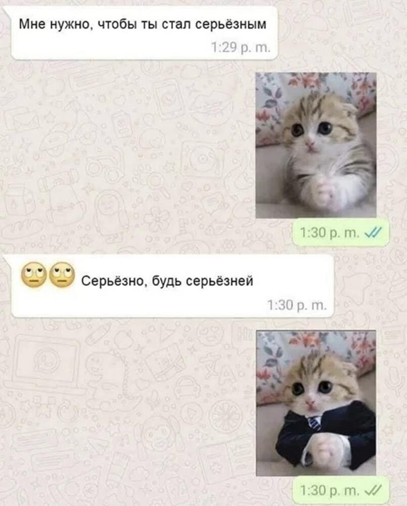 VfDkyPy.jpg.jpeg