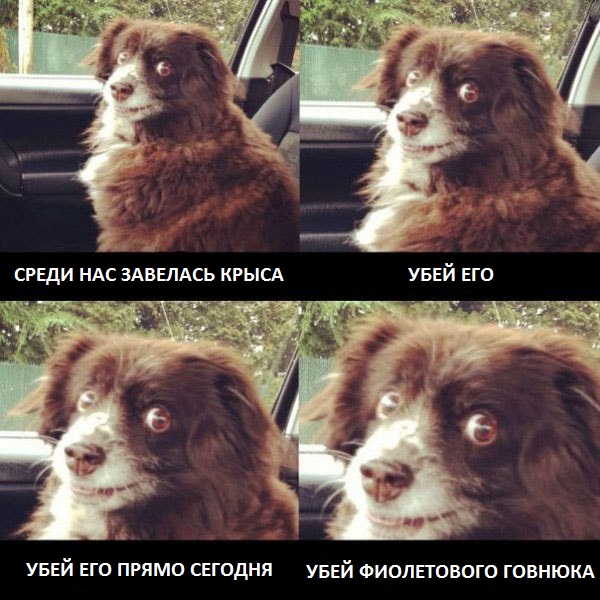 3a0ea6d552ef.jpg.jpeg