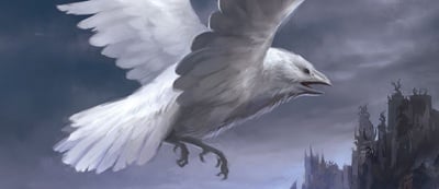 400px-White_RavenSandara_Tang.jpg