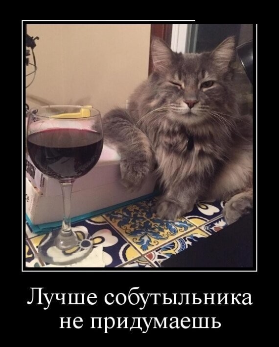 9c8eeedad7315c2fd0b3d664dc81c71d.jpg.jpeg