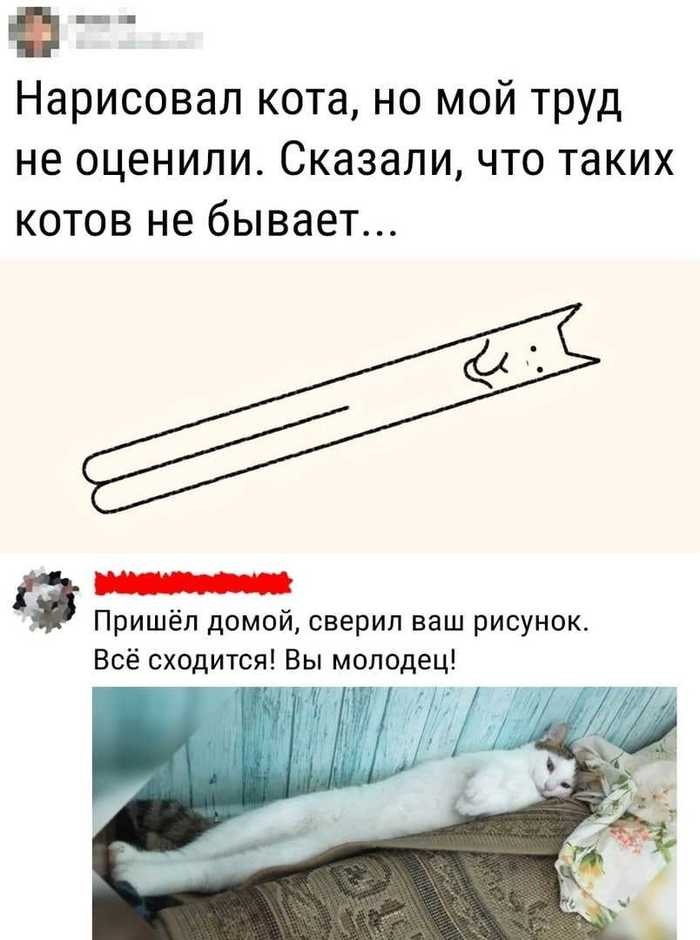 jpg.jpeg