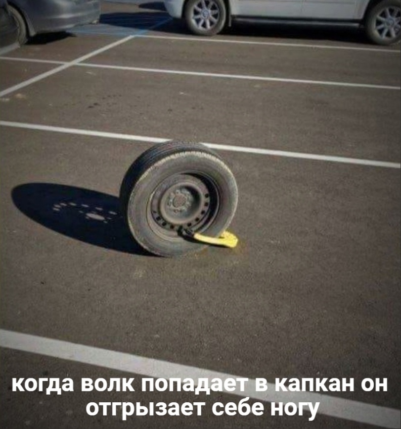 jpg.jpeg