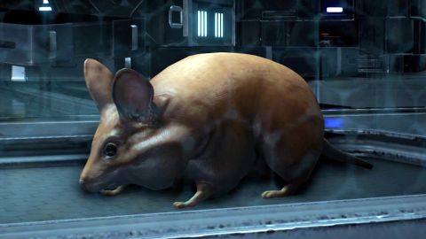 Mass-Effect-Andromeda-Pets.jpg.jpeg