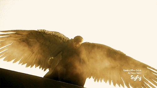 original.gif