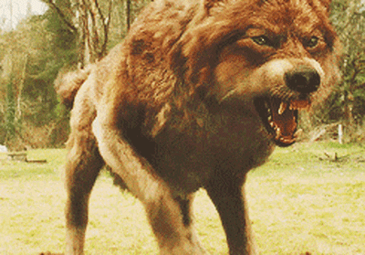 tenor.gif