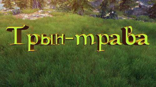 Подробнее о "Трын-Трава"