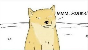 1538811530138134166.jpg.jpeg