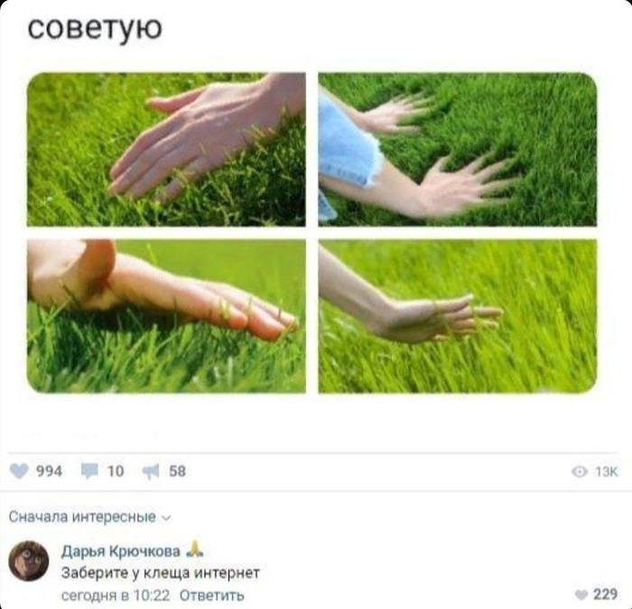 16219340631767406.jpg.jpeg