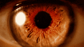 200.gif
