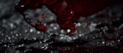 2377175.gif
