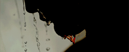 53964e3175f8a4316a030a78b2b7fab3 (1).gif