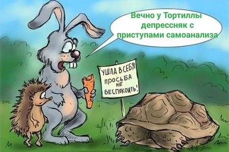 anekdot-pro-ezha-asm.jpg.jpeg