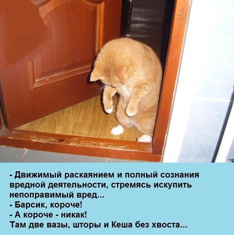 D2ku6V-aF54.jpg.jpeg