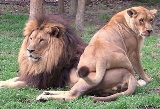 image.jpg.jpeg