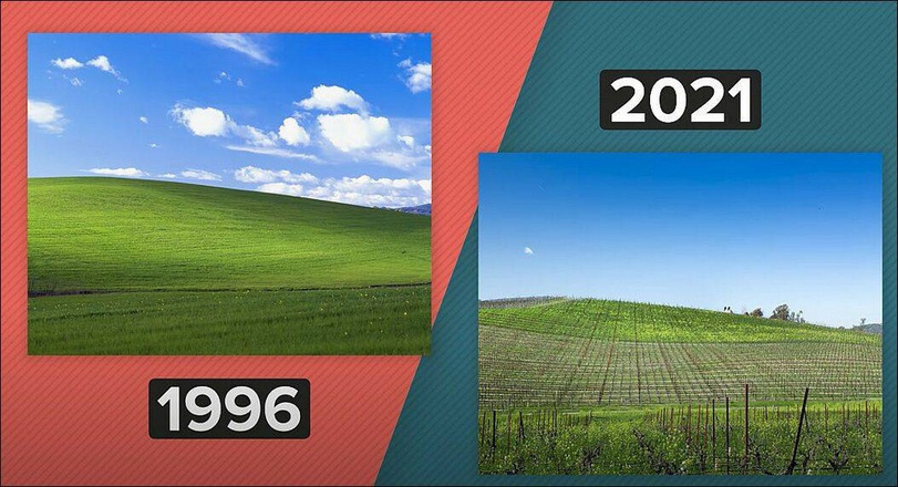 jpg.jpeg