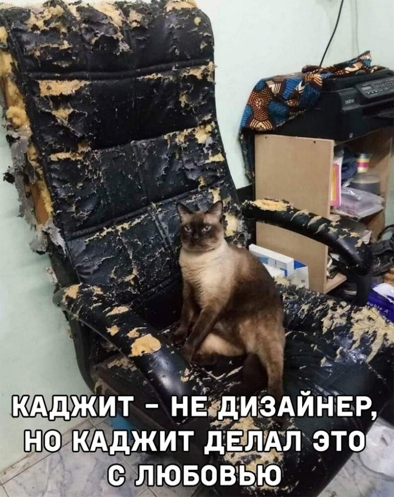%D0%BA%D0%B0%D0%B6%D0%B4%D0%B8%D1%82-%D1%88%D0%B5%D1%80%D1%81%D1%82%D1%8F%D0%BD%D0%BE%D0%B9-%D0%BF%D0%B8%D0%B4%D0%BE%D1%80%D0%B0.jpeg