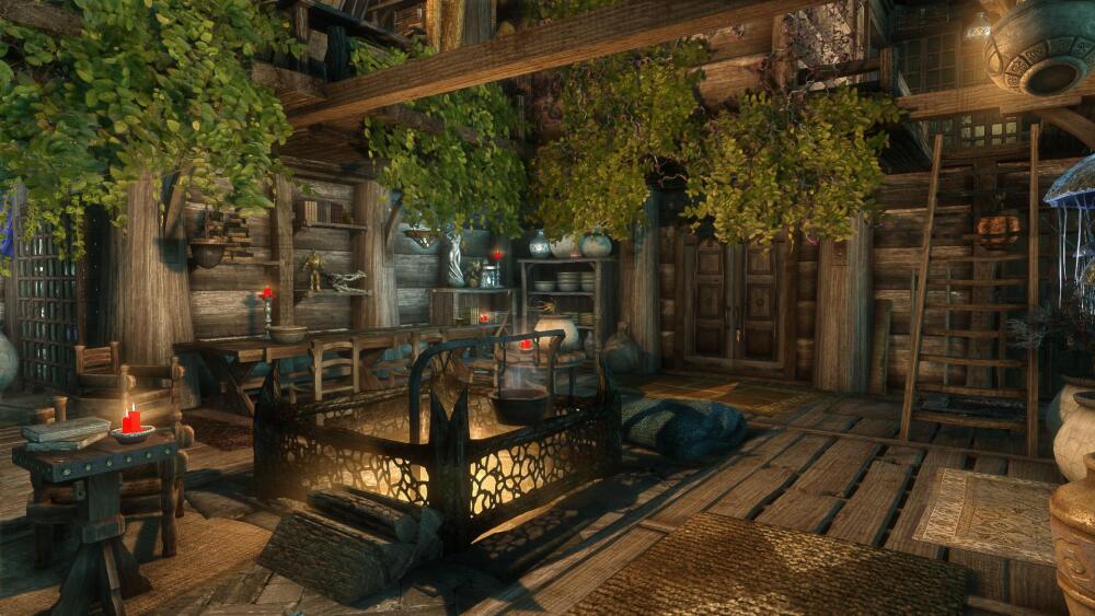SkyrimSE 2021-07-29 06-27-44-45.jpg