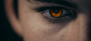 tumblr_inline_p8qtxiDZZa1ten0mq_500.gif