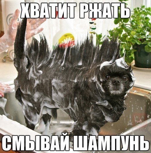 unnamed.jpg.jpeg