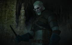 witcher3_2015_05_20_20_24_58_16_240.jpg.jpeg