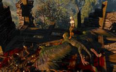 witcher3_2015_05_21_07_09_54_77_240.jpg.jpeg