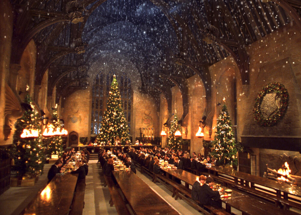 53446-harry-potter-dinner.jpg.jpeg