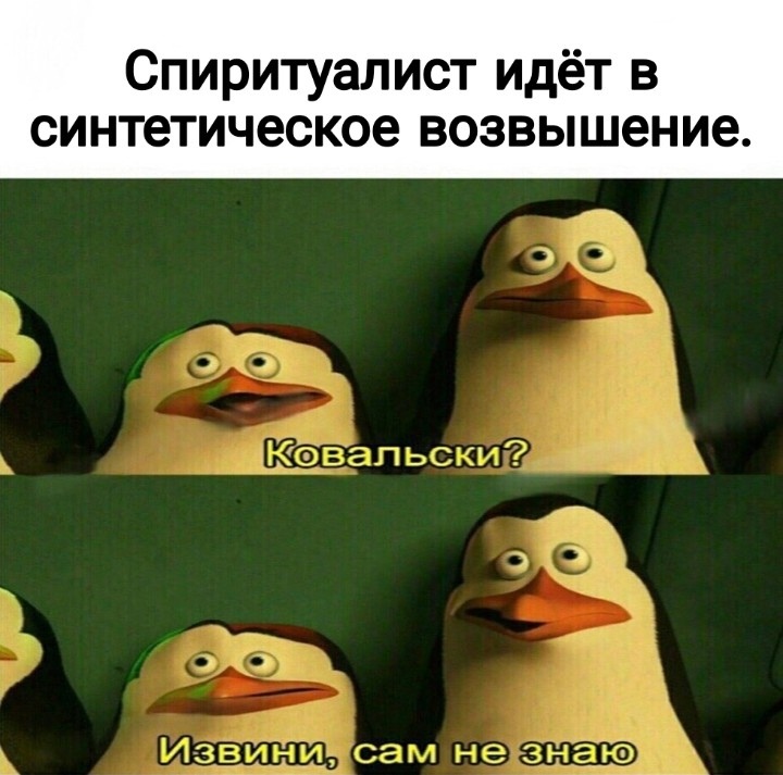 8j61fKI.jpg.jpeg