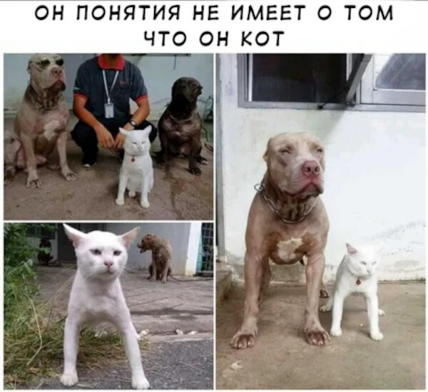 a7enqn2-460swp2.png.jpeg