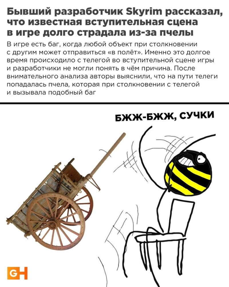 jpg.jpeg