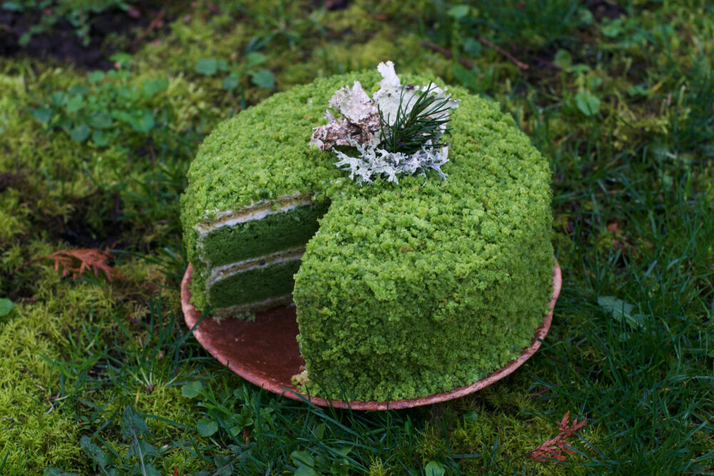 mosscake6small.jpg.jpeg