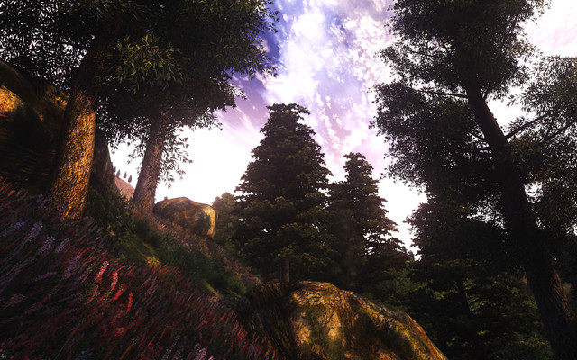 Oblivion-2021-08-26-00-56-31.jpg.jpeg