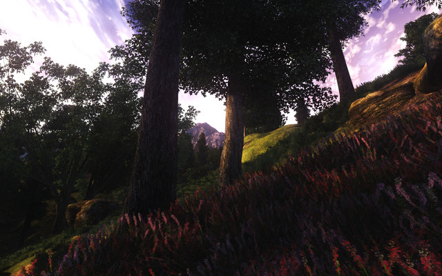 Oblivion-2021-08-26-00-56-37.jpg.jpeg