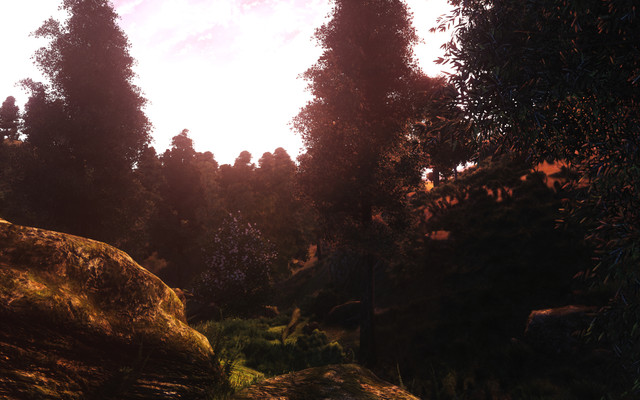 Oblivion-2021-08-26-00-57-16.jpg.jpeg