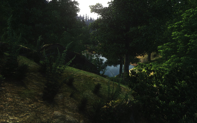 Oblivion-2021-08-26-01-04-42.jpg.jpeg