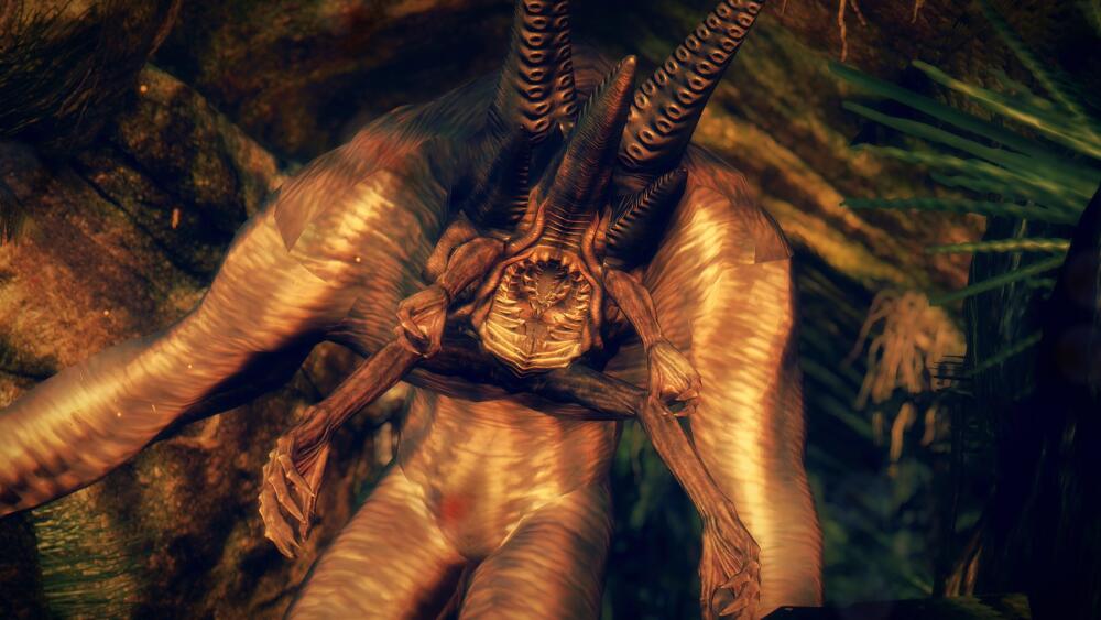 PEfnKuF.jpg.jpeg