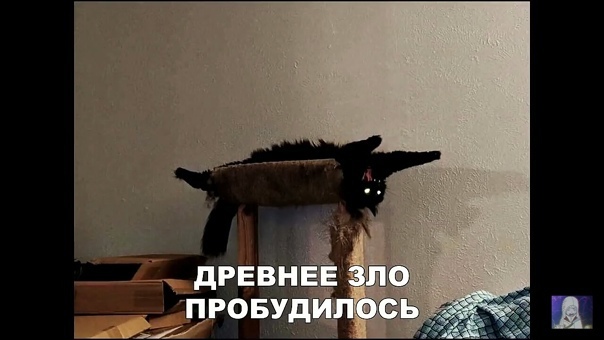 1Tm3Mtlok2A.jpg