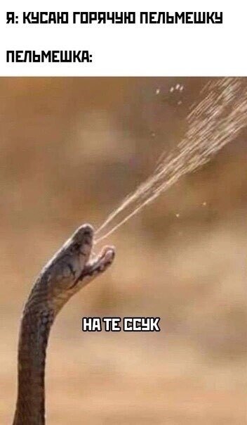 %D0%9F%D1%80%D0%B8%D0%BA%D0%BE%D0%BB%D1%8B-%D0%B4%D0%BB%D1%8F-%D0%B4%D0%B0%D1%83%D0%BD%D0%BE%D0%B2-%D1%80%D0%B0%D0%B7%D0%BD%D0%B.jpeg