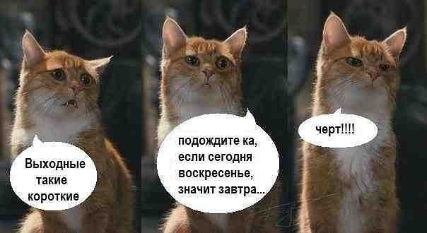 1368381120_n9xvo4xzdde.jpg.jpeg