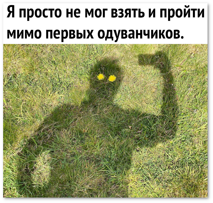 2020-04-27-1587981075.jpg.jpeg