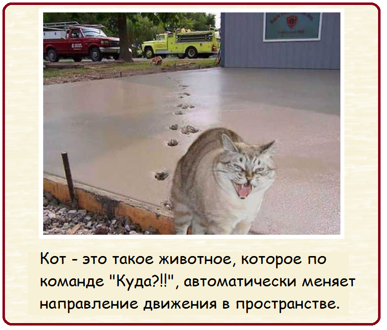 7-18.png.webp.png