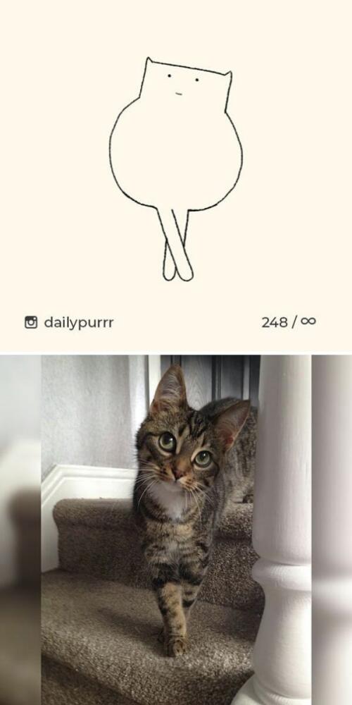 7-31.jpg.jpeg