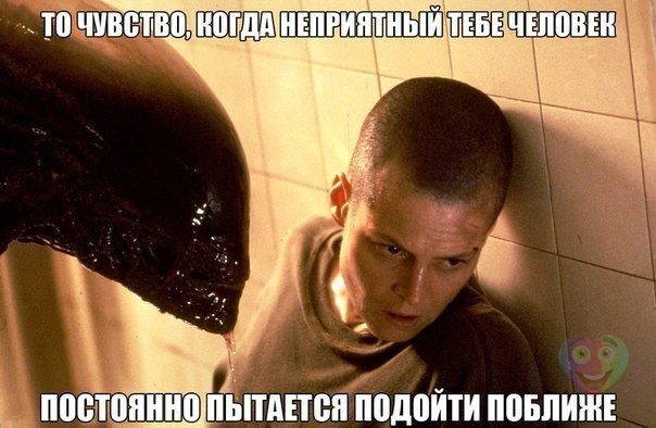 748ee2316d0a9faa81cc7c5e832cbd15.jpg.jpeg