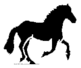 951607026.gif