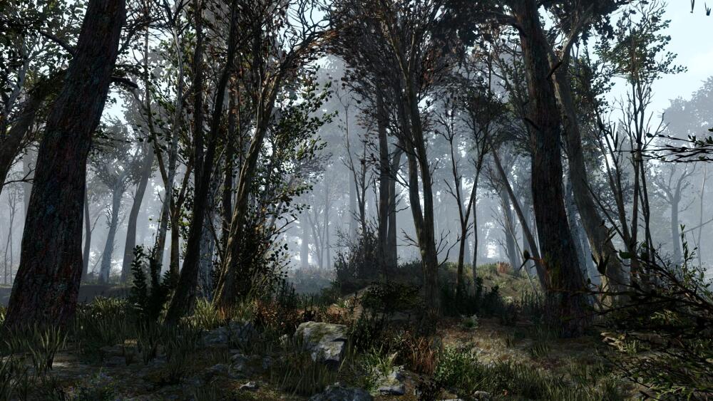 Fallout-4-Another-Pine-Forest-Mod-screenshots-1.jpg