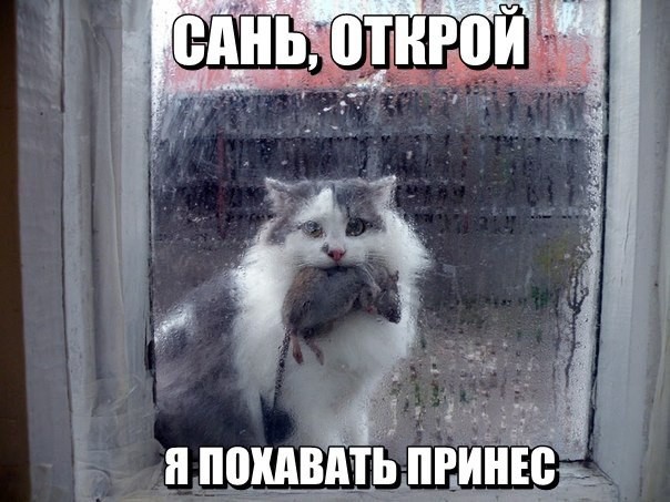 gxecdr9i0q0.jpg.jpeg