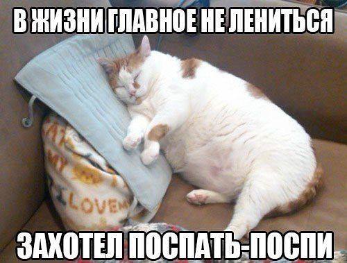 -H1zjdz0i00.jpg.jpeg