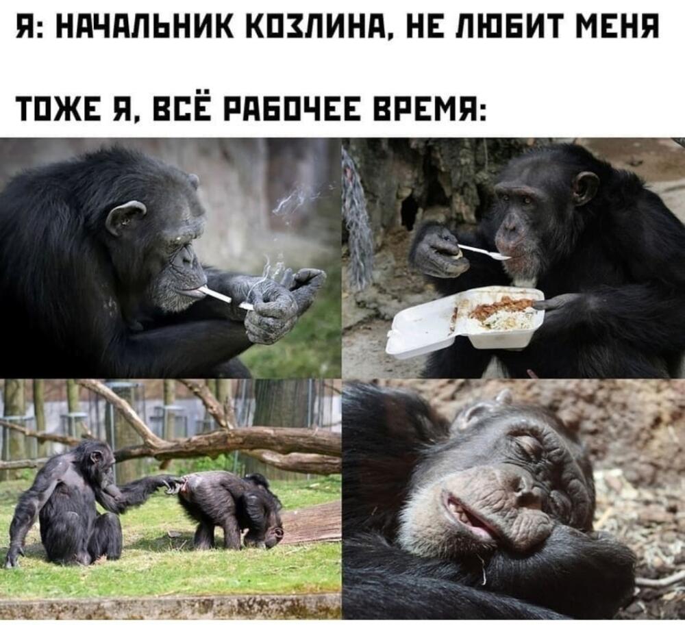 h8-Ny-Akyr-Kq0.jpg.jpeg
